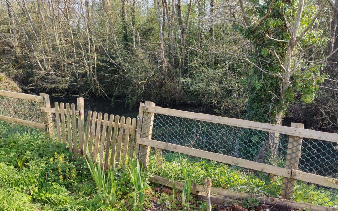 Elm Tree Park Sheepway