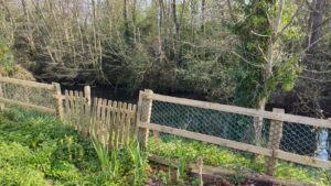Elm Tree Park Sheepway